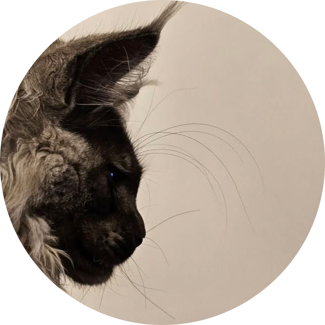 Picture of Edward Swift