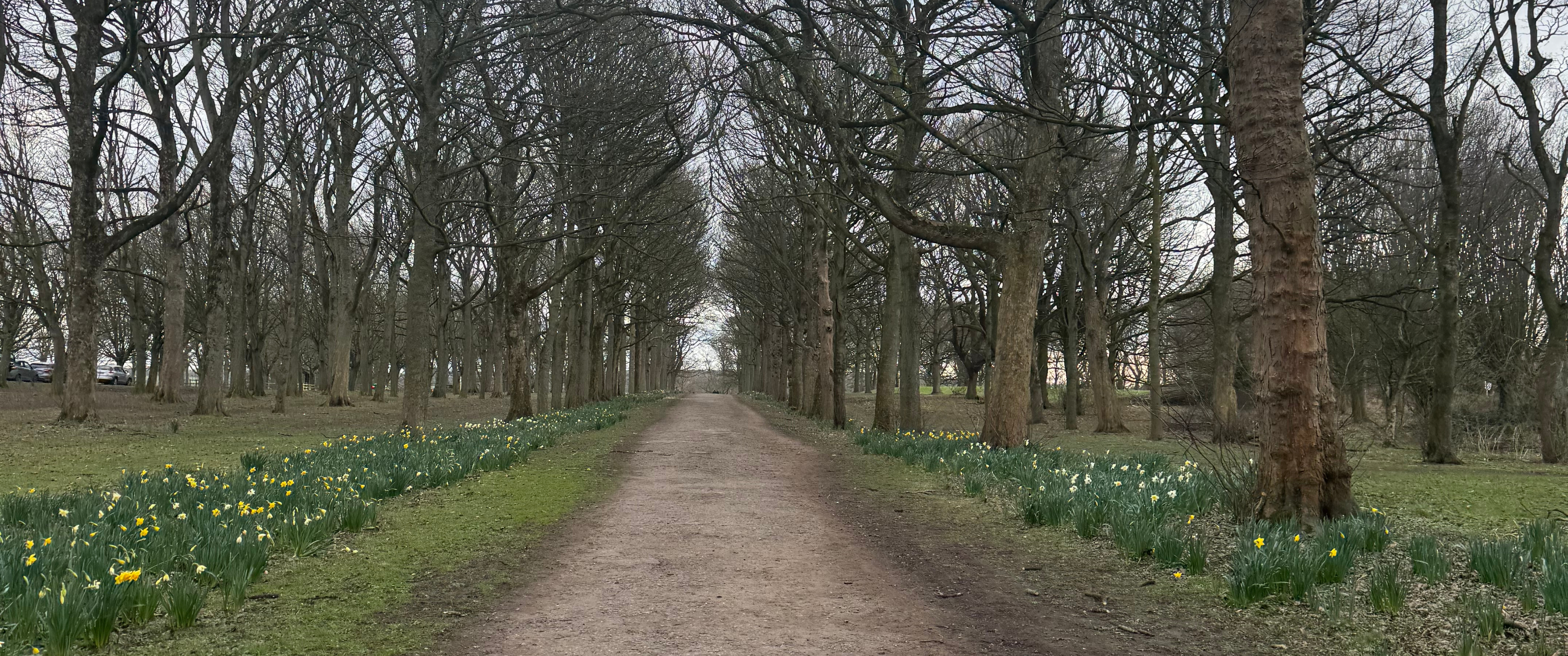 The Garden Path – Kimberley Ann Ashby